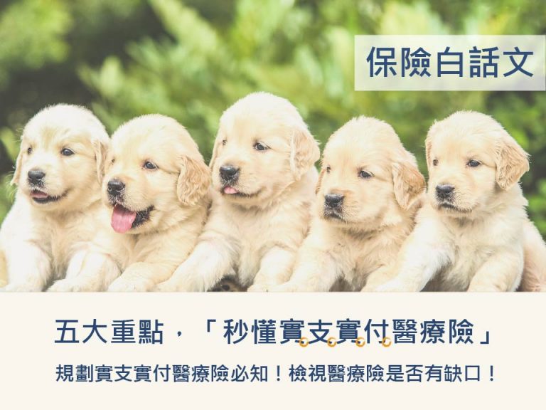 五大重點秒懂實支實付醫療險